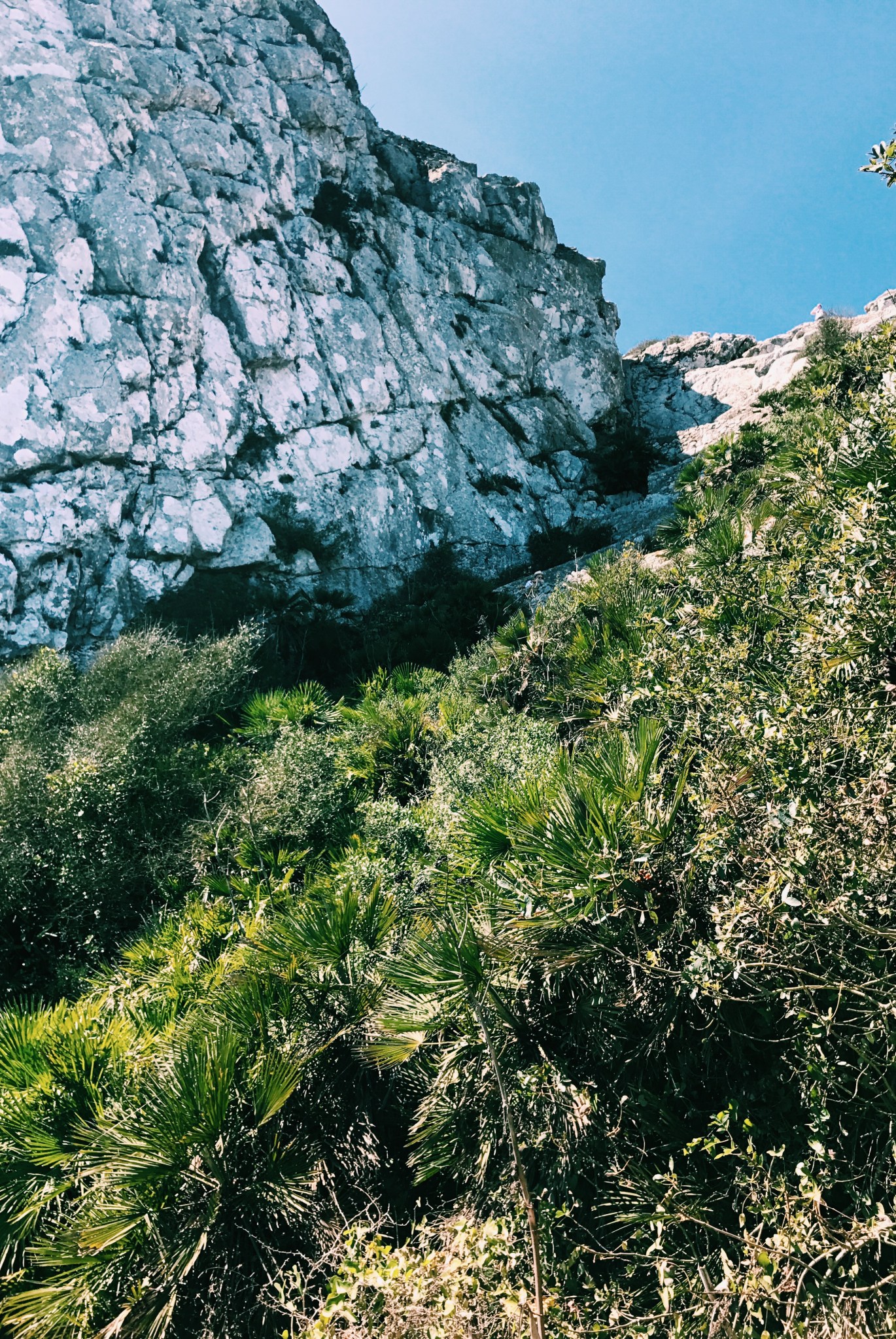 Processed with VSCO with c1 preset