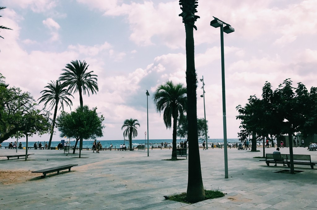 Processed with VSCO with c1 preset