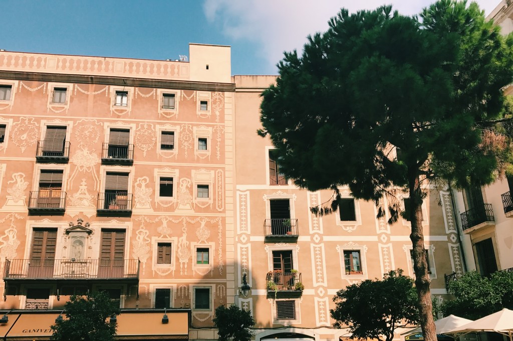 Processed with VSCO with c1 preset
