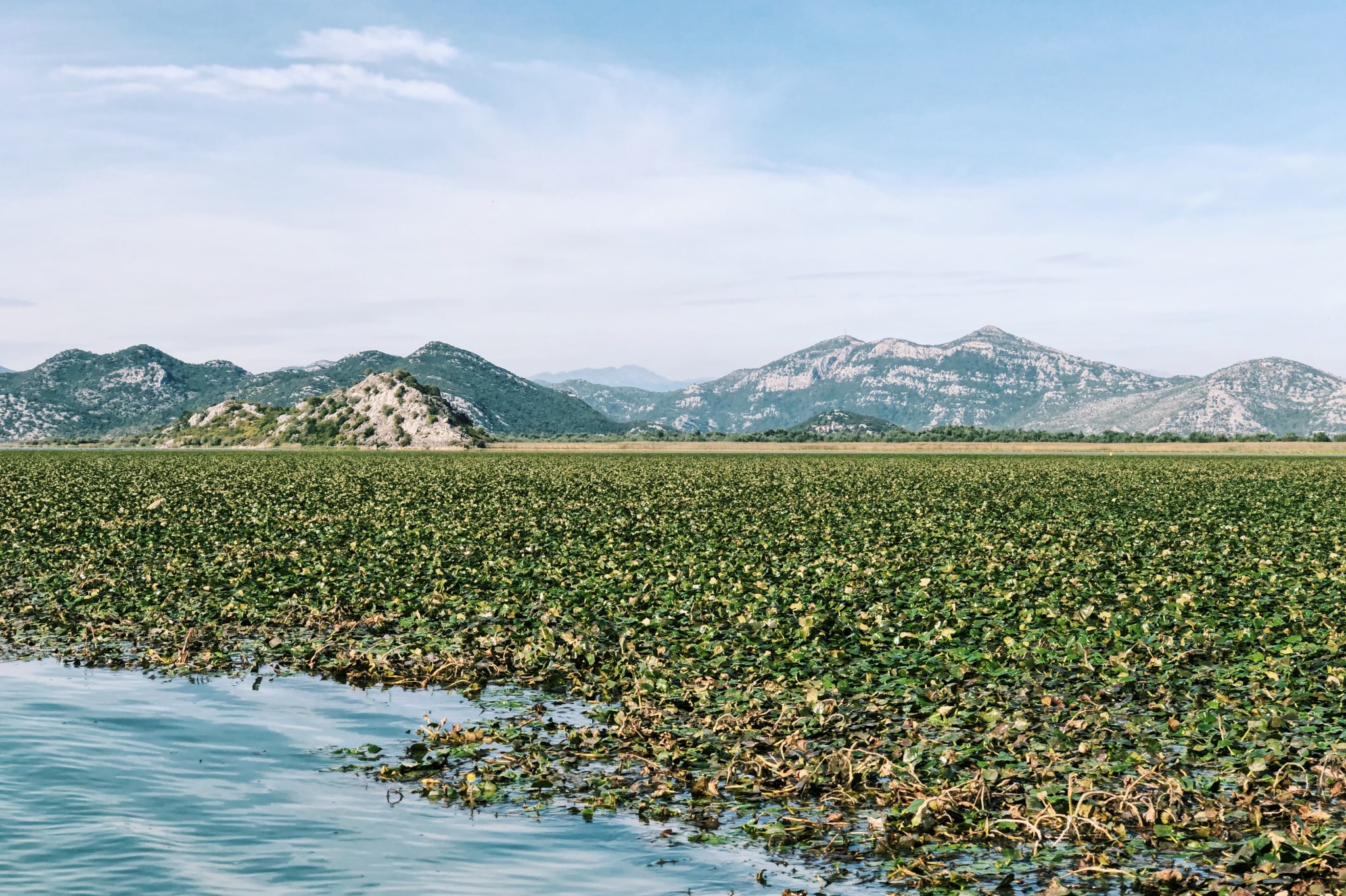Processed with VSCO with c1 preset