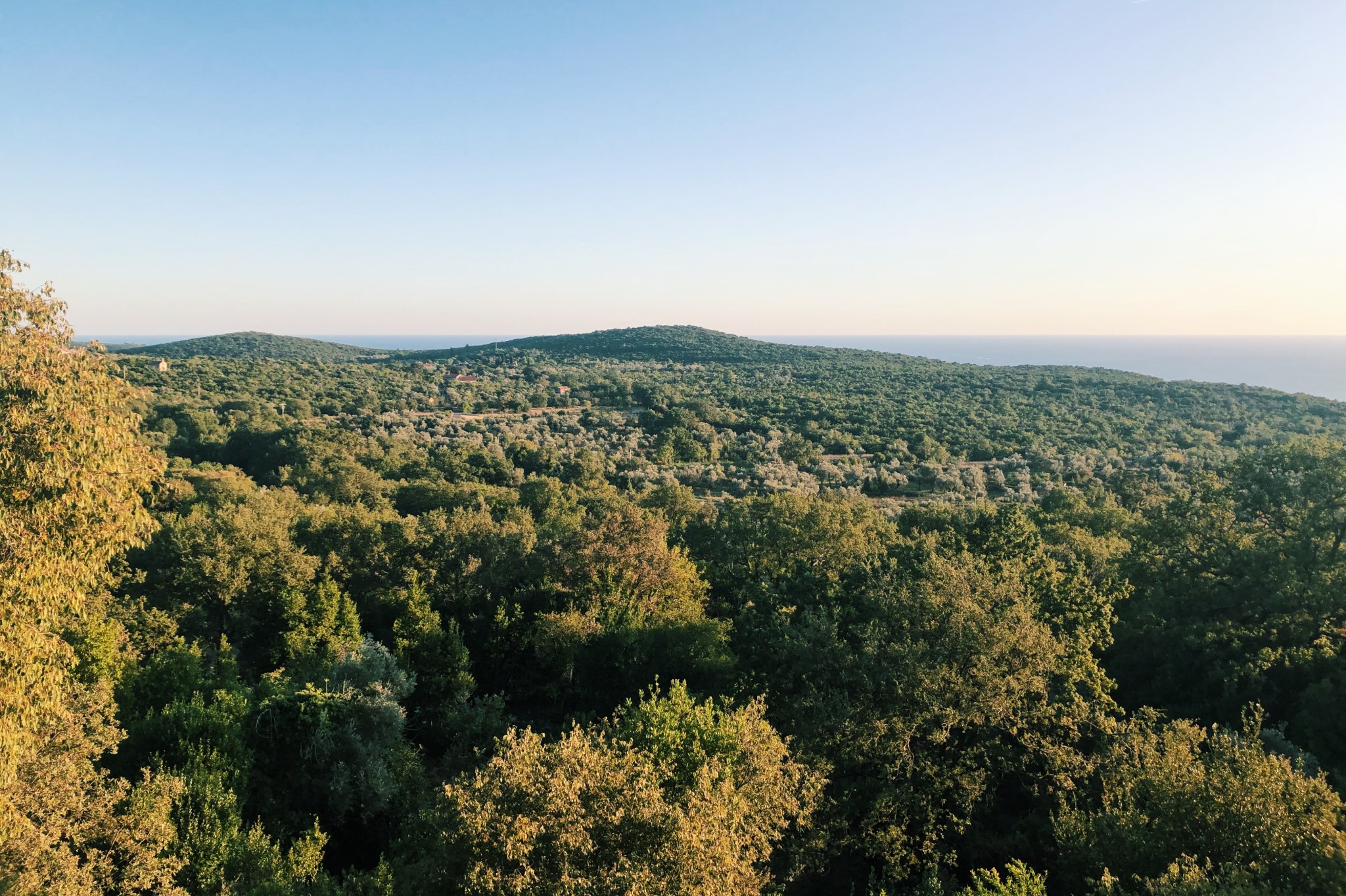 Processed with VSCO with c1 preset