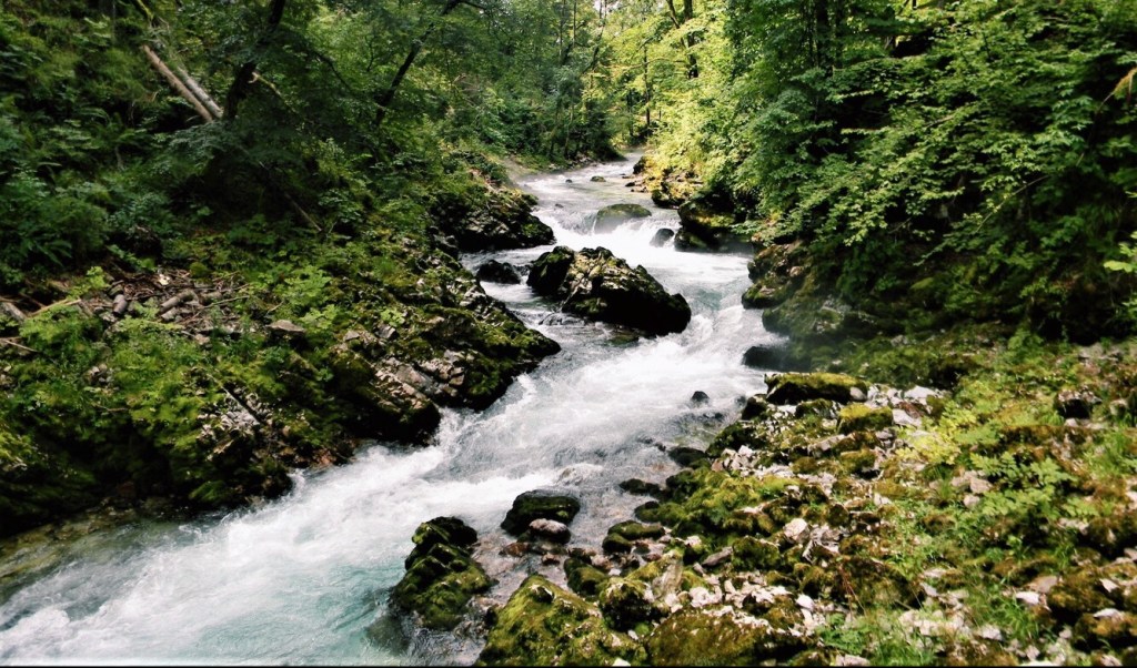 Vintgar