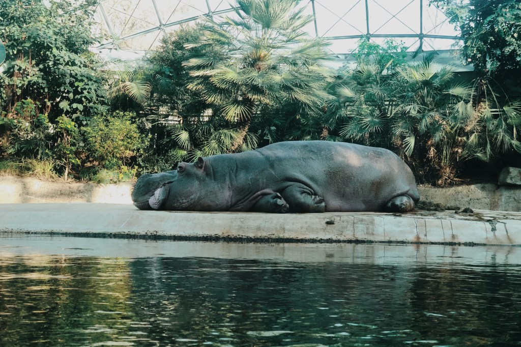Processed with VSCO with m5 preset