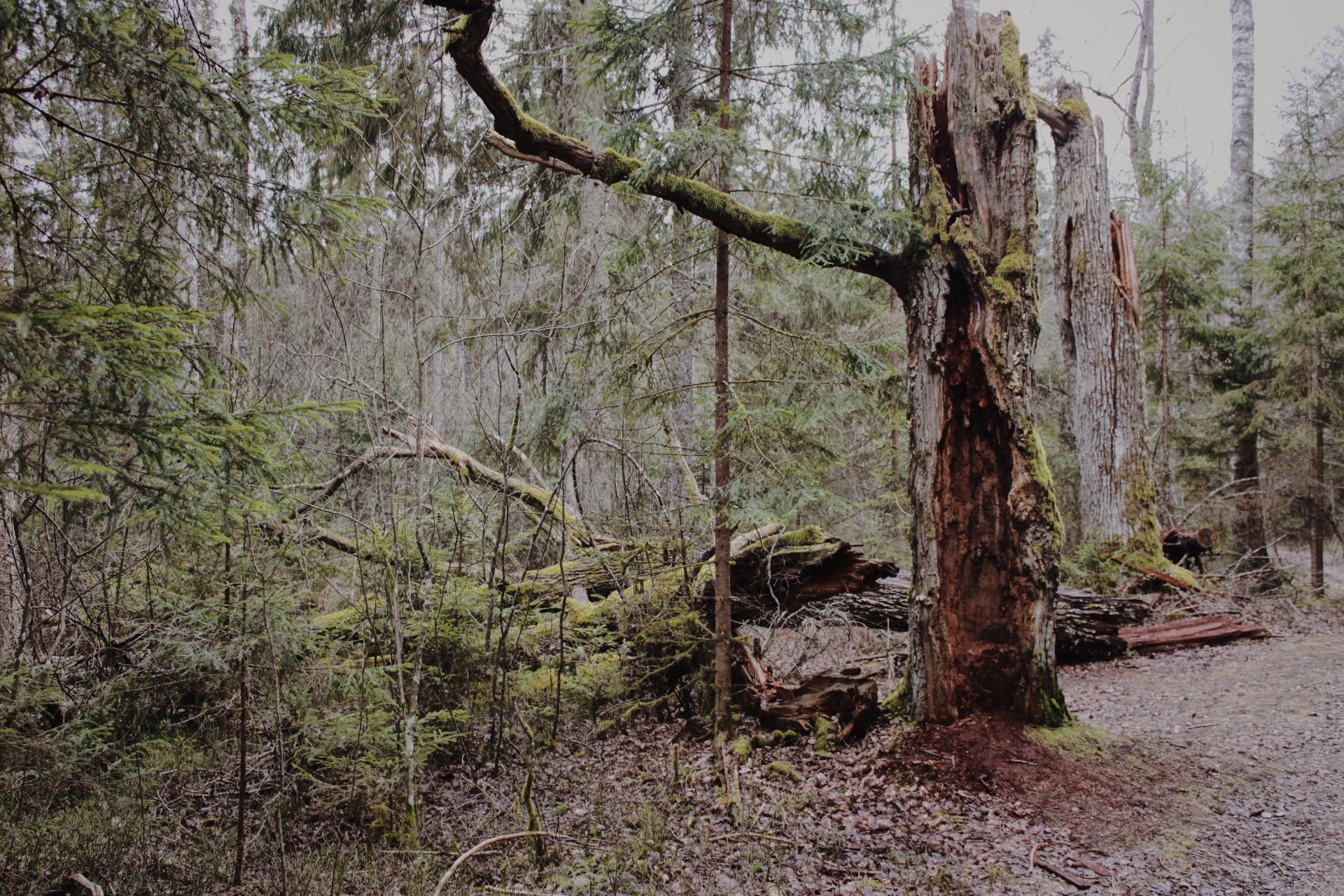 Processed with VSCO with m5 preset