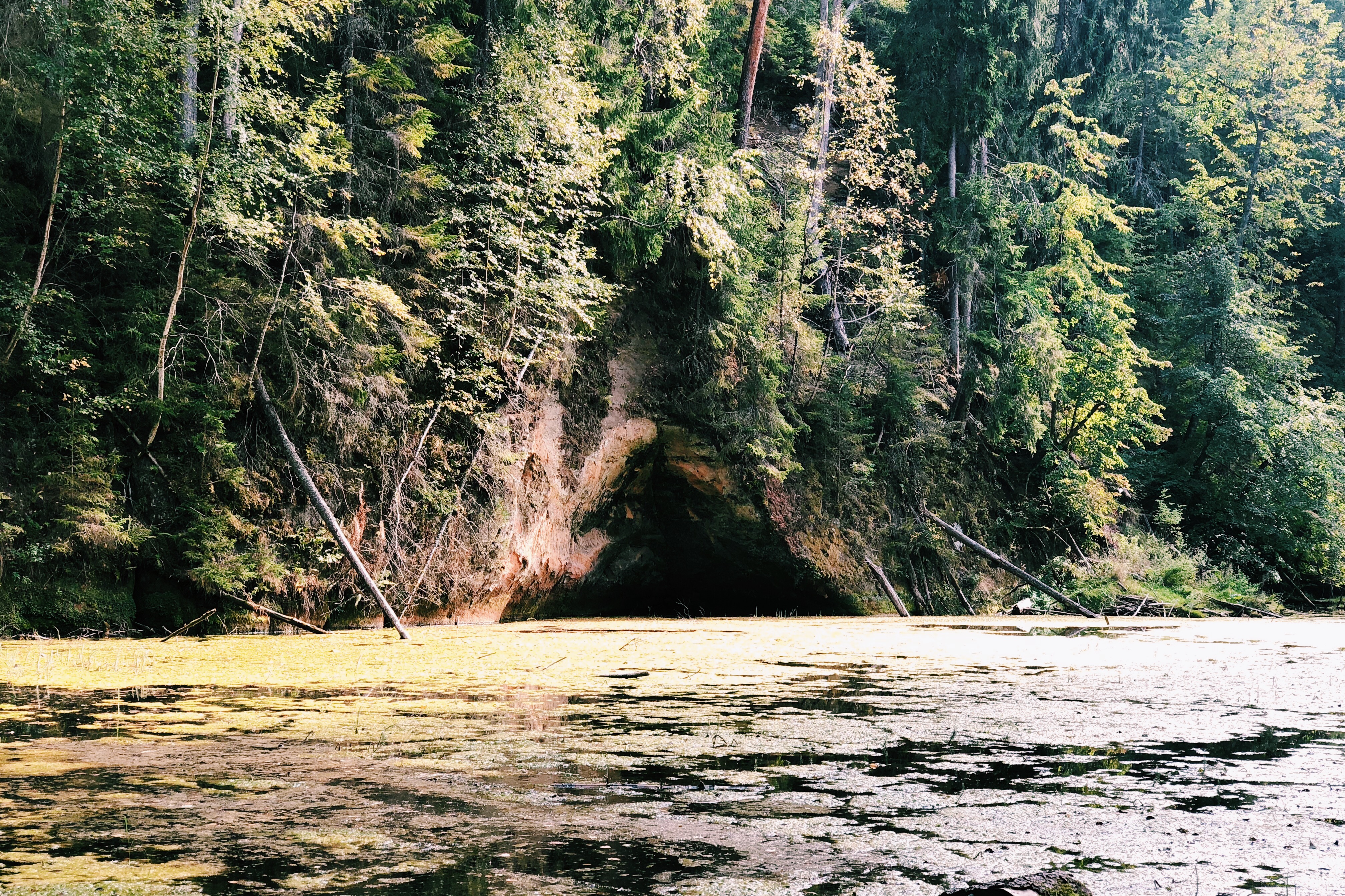 Processed with VSCO with c1 preset