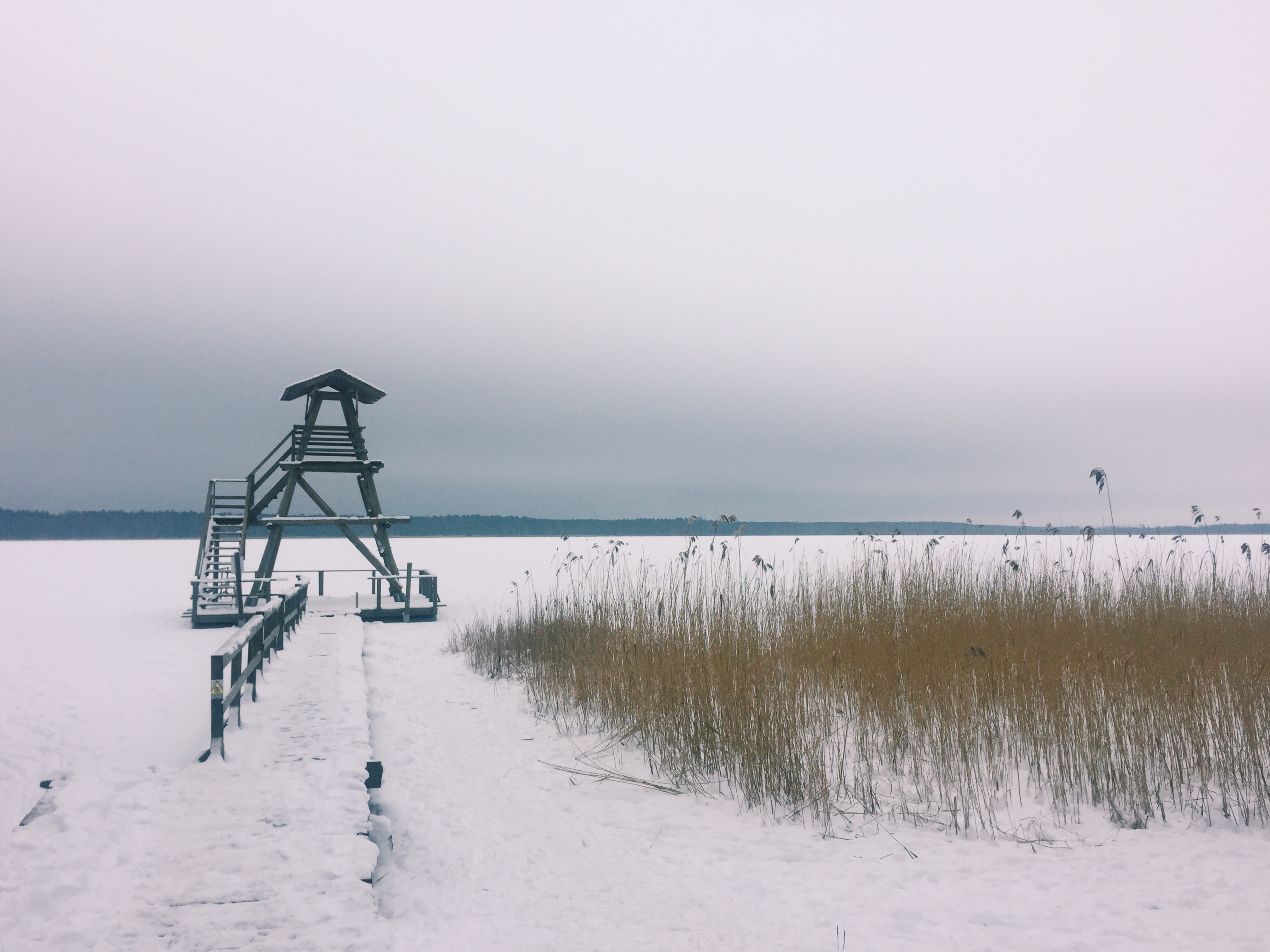Processed with VSCO with c1 preset